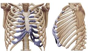 Chirurgia di rimozione delle costole a Cayra Clinic per rimodellare la silhouette in modo sicuro